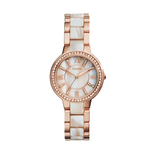 FOSSIL