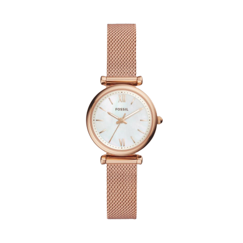 FOSSIL
